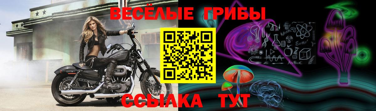 Псилоцибиновые грибы Magic Shrooms  Вход с VPN  Назарово 